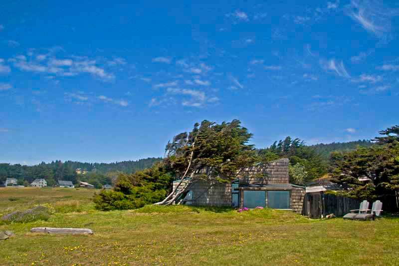 exterior of DeYoung