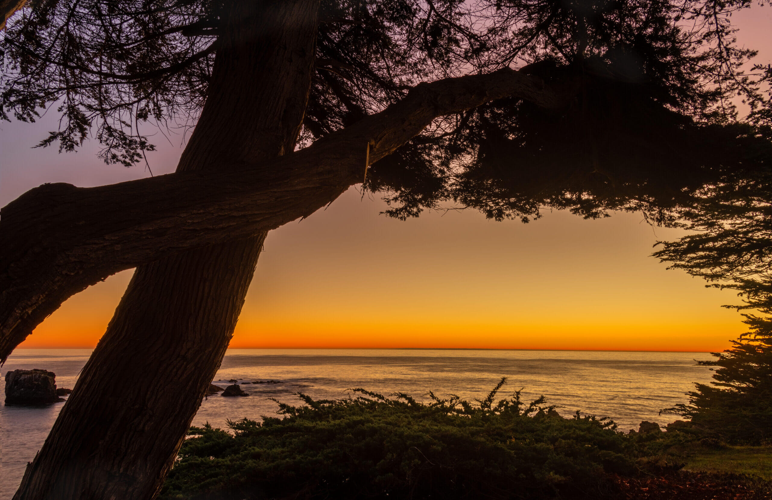 Pelicans Rest outdoor sunset view of ocean with pine trees