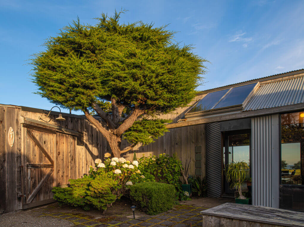 Tin Roof enclosed entry garden trees, blue sky