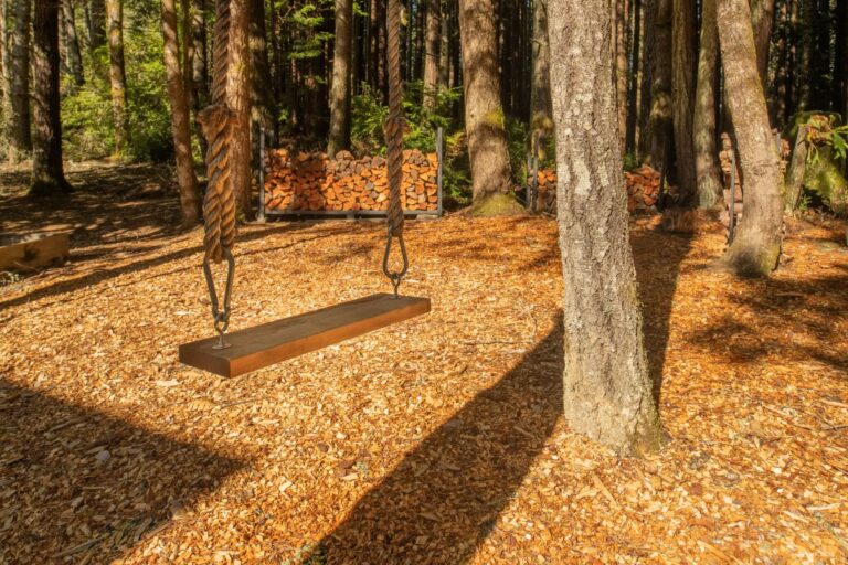Paradiso - outdoor rope swing hanging from tree in wood chip covered forest