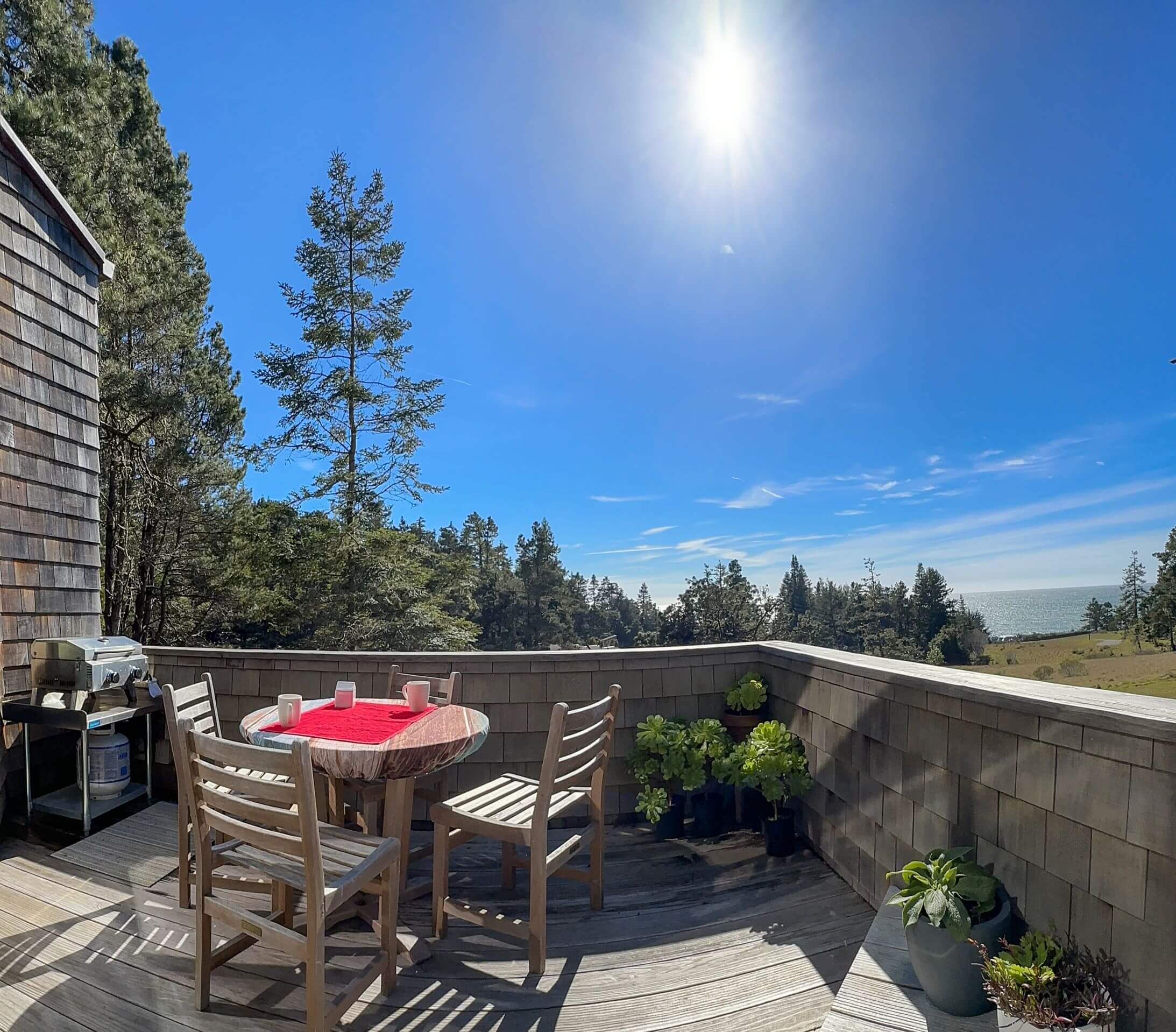 Seaview: outside deck with grill and wood table, view of hillside trees and blue sky.