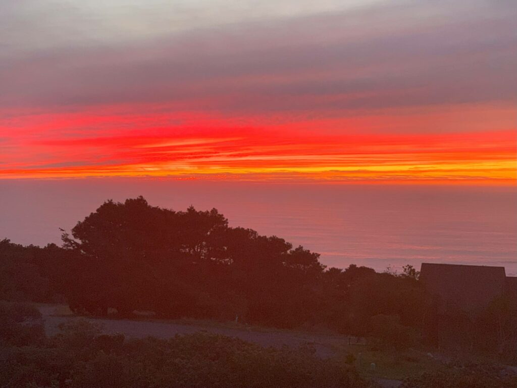 Starscape - vibrant orange and pink sunset over ocean with shadowed trees in foreground