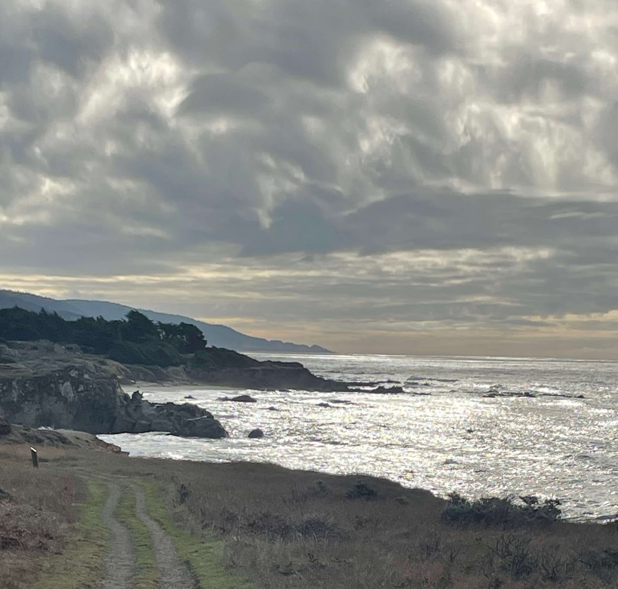 Brown Pelican Retreat - sunset view from outdoor meadow to rocky ocean view.